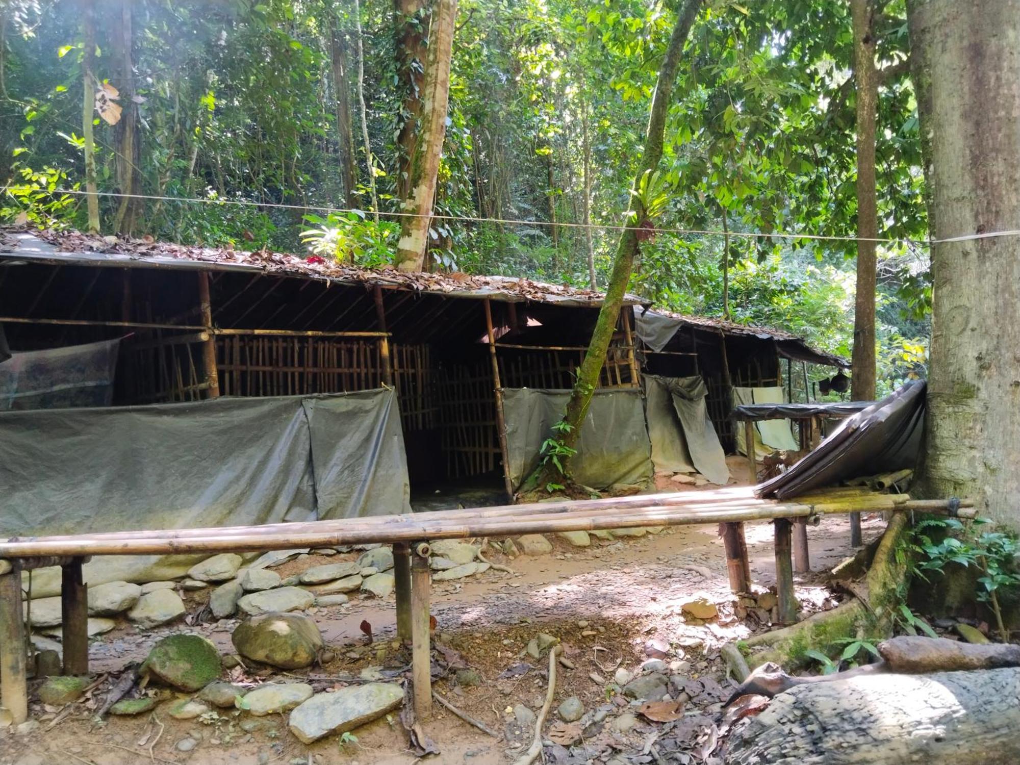 Jhony'S Backpacker-Guest House Only Stay Here Book Treking With Us Bukit Lawang Buitenkant foto