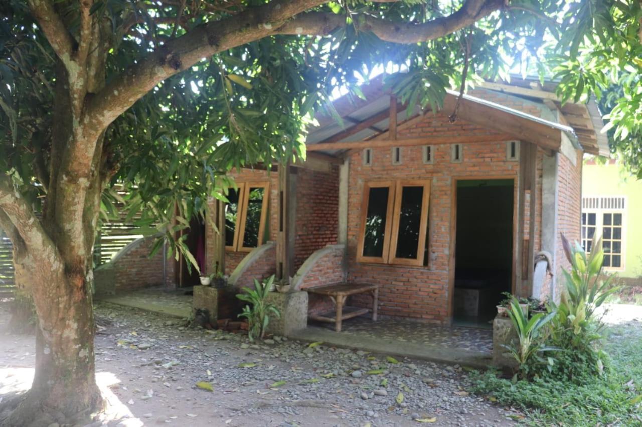 Jhony'S Backpacker-Guest House Only Stay Here Book Treking With Us Bukit Lawang Buitenkant foto